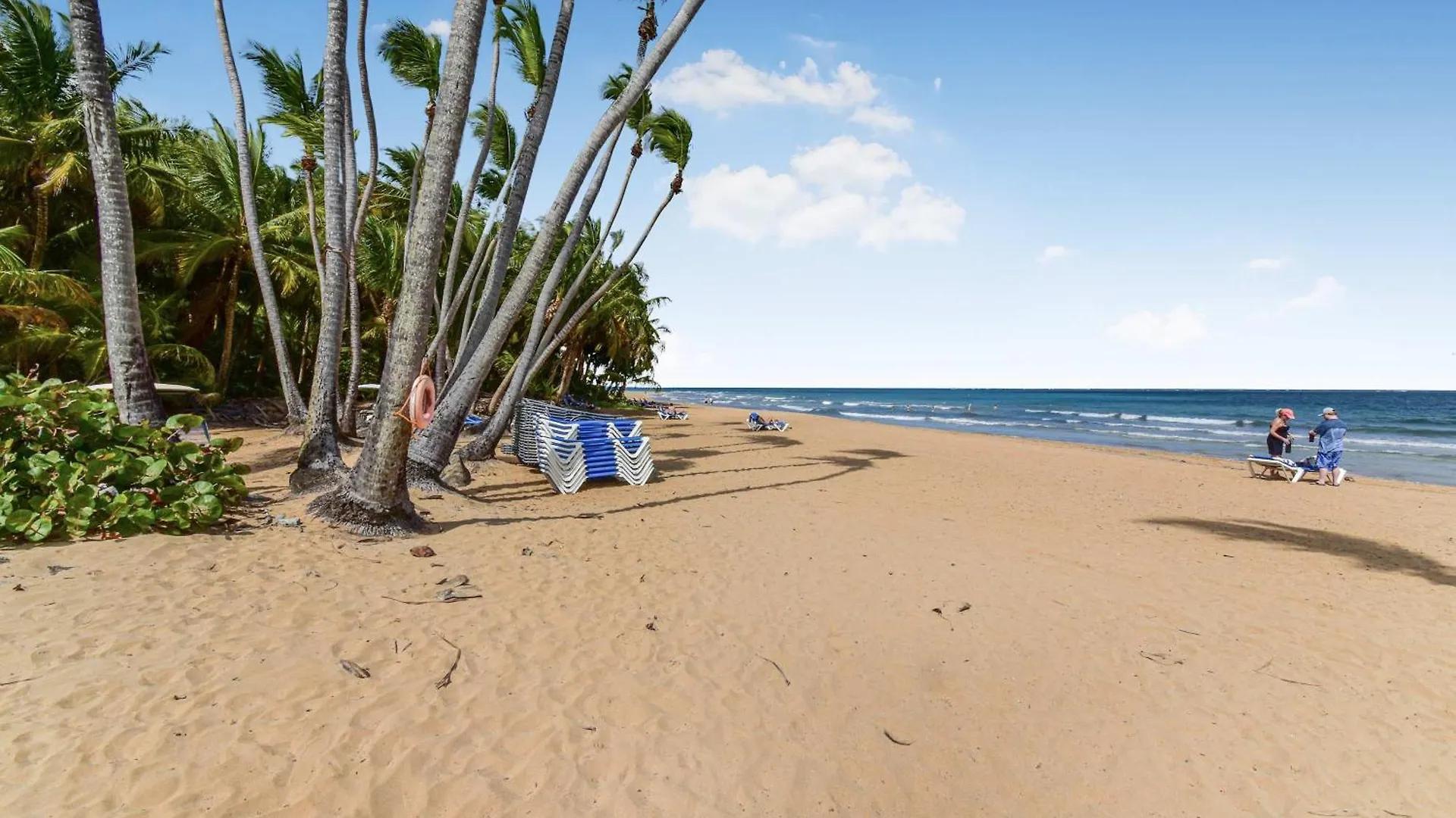 Four Bedroom Four Bath With Ocean Views In Rio Mar Río Grande